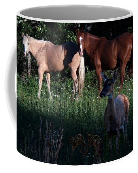 Horses Coffee Mug featuring the photograph Company by Bill Stephens