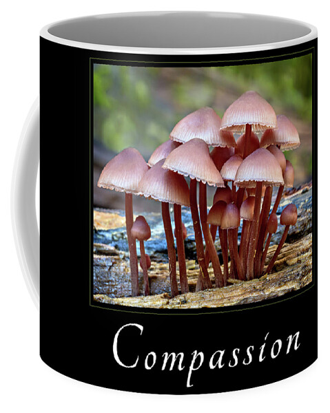 Good Samaratan Society Coffee Mug featuring the photograph Compassion by Mary Jo Allen