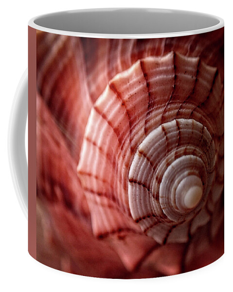 Conch Coffee Mug featuring the photograph Conch Shell by Greg and Chrystal Mimbs