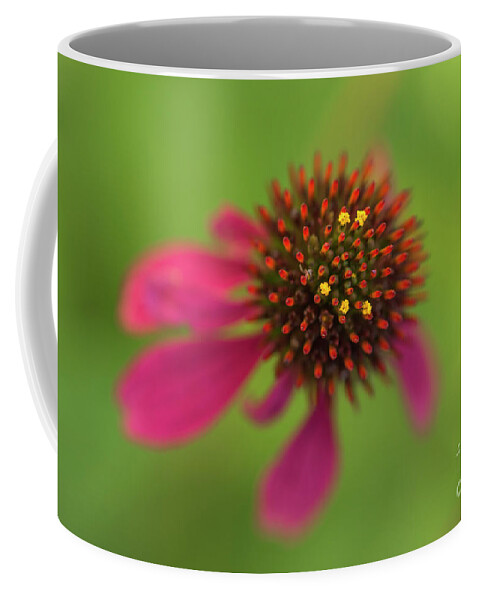 Cone Flower Coffee Mug featuring the photograph Cone Flower by Alana Ranney