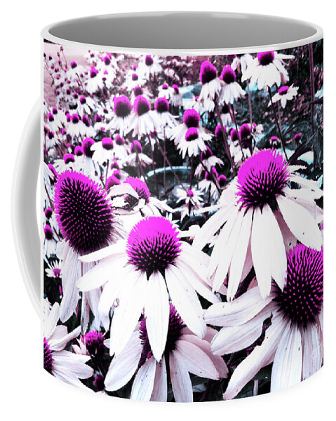 Cone Flower Coffee Mug featuring the photograph Cone Flower Delight by Kevyn Bashore