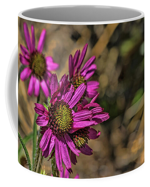 Botanical Coffee Mug featuring the photograph Coneflowers in the Wind by Alana Thrower