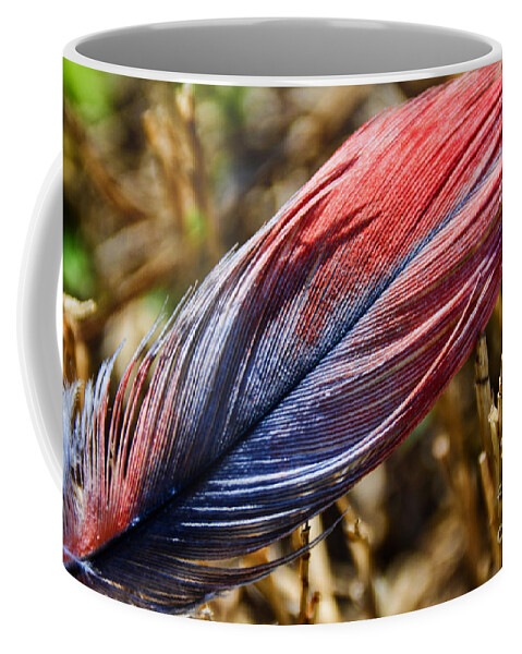 Adrian-deleon Coffee Mug featuring the photograph Congo African Grey Feather by Adrian De Leon Art and Photography