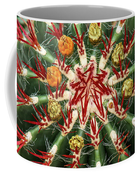 Cactus Coffee Mug featuring the photograph Constellation by Tom and Pat Cory