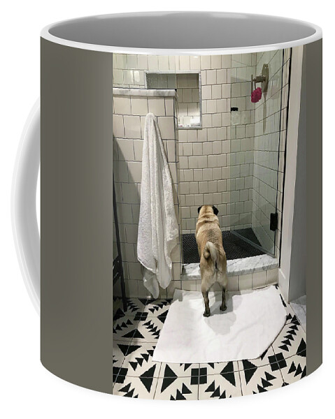 Pug Coffee Mug featuring the photograph Contemplating by Jackson Pearson