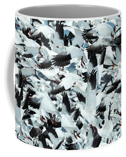 Snow Coffee Mug featuring the photograph Controlled Chaos by Everet Regal