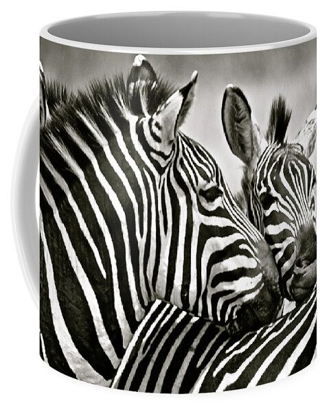 Zebra Coffee Mug featuring the photograph Convicted Horses by Don Mercer