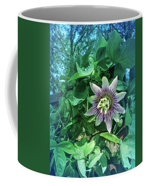 Passion Flower Coffee Mug featuring the photograph Cool Blue Passion Flower 3 by Aimee L Maher ALM GALLERY