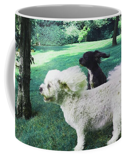 Dog Coffee Mug featuring the photograph Cool Breeze In Emerald Green by Rowena Tutty