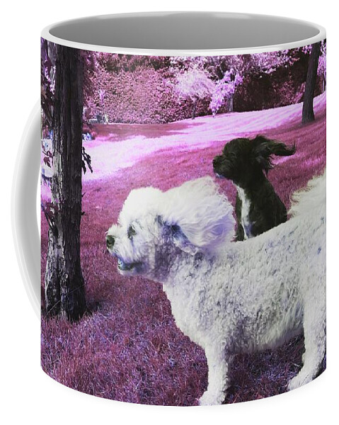 Dog Coffee Mug featuring the photograph Cool Breeze in Pink by Rowena Tutty