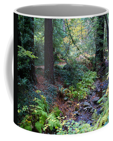 Mount Tamalpais Coffee Mug featuring the photograph Cool Creek on Mt Tamalpais by Ben Upham III