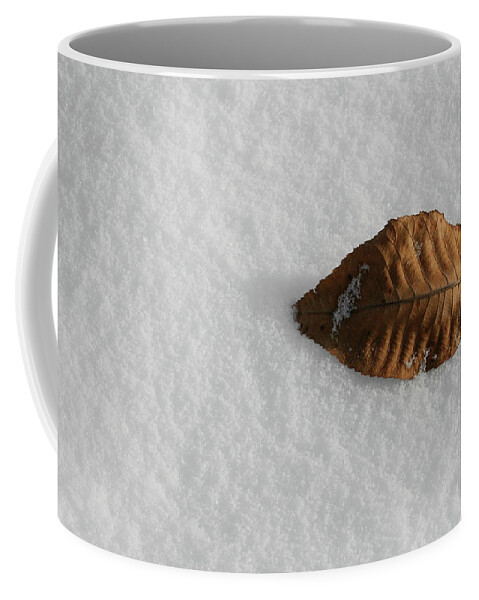 Nature Coffee Mug featuring the photograph Cool Leaf by Dylan Punke