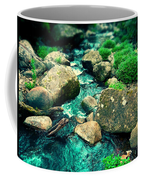 Natue Coffee Mug featuring the photograph Cool Stream by Michael Blaine