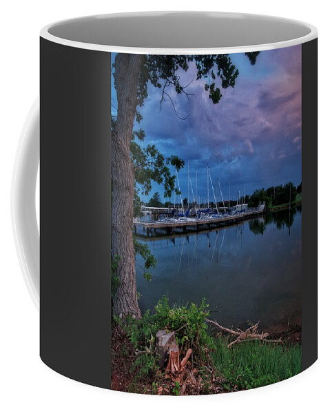 Tranquil Coffee Mug featuring the photograph Cooler Shades of Day by Buck Buchanan