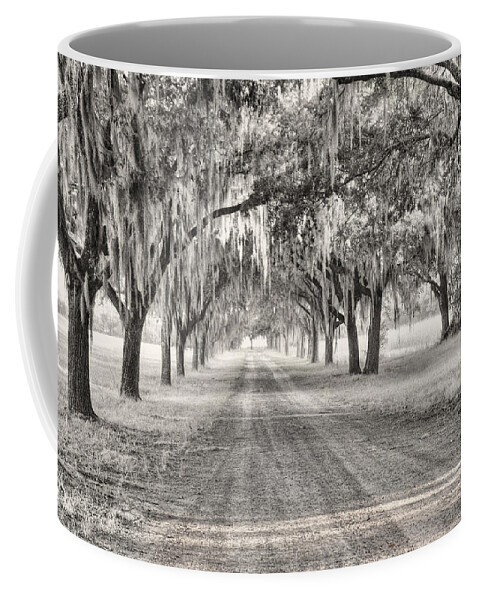 Fog Coffee Mug featuring the photograph Coosaw Plantation Avenue of Oaks by Scott Hansen