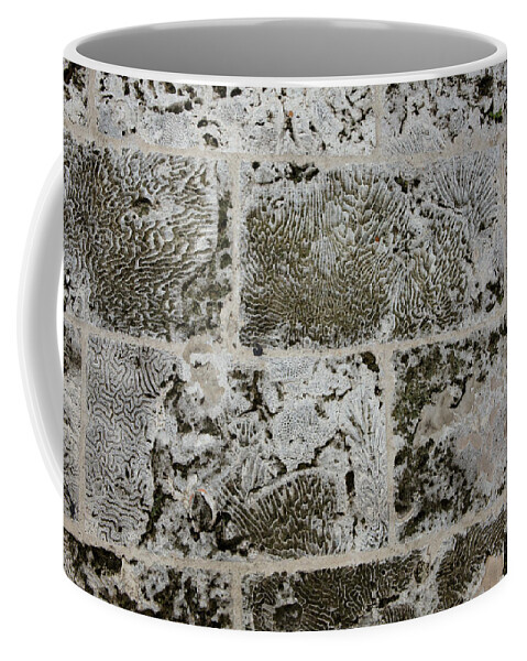 Texture Coffee Mug featuring the photograph Coral Wall 205 by Michael Fryd