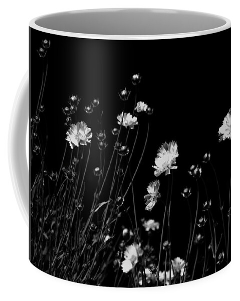 Black And White Coffee Mug featuring the photograph Coreopsis by JGracey Stinson