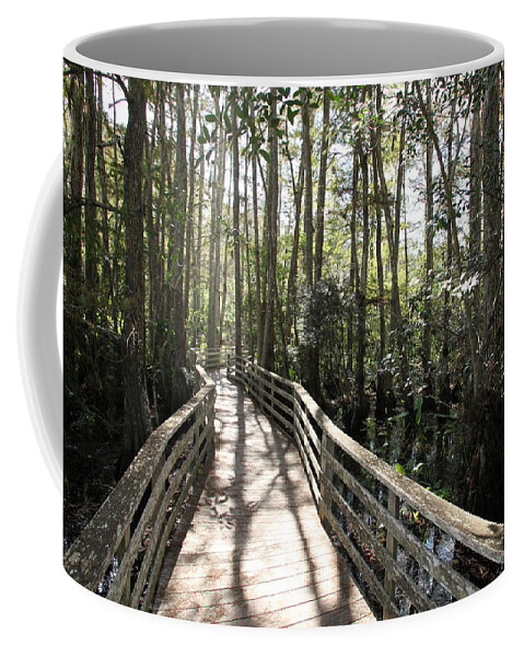 Corkscrew Swamp Sanctuary Coffee Mug featuring the photograph Corkscrew Swamp 697 by Michael Fryd