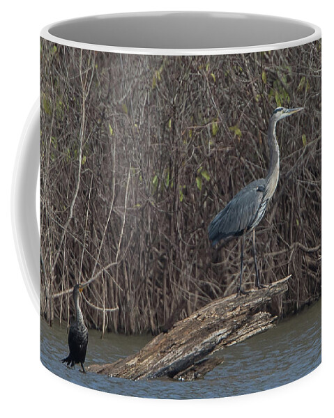 Ronnie Maum Coffee Mug featuring the photograph Cormorant and Heron by Ronnie Maum