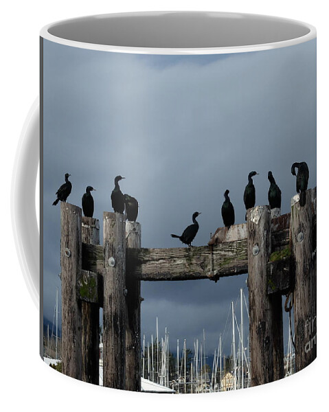 Cormorants Birds Sky Clouds Drama Boats Seaside Sun Shadow Light Pilings Bolts Wood Logs Grey Blue Black White Brown Yellow White Coffee Mug featuring the photograph Cormorants by Ida Eriksen