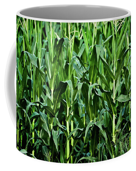 Corn Coffee Mug featuring the photograph Corn Field's First Row by Onyonet Photo studios