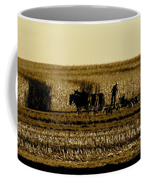 Amish Coffee Mug featuring the photograph Cornfield Shadows by Tana Reiff