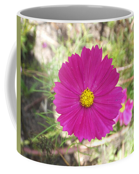 Flower Coffee Mug featuring the photograph Cosmos in the Pink by Lizi Beard-Ward