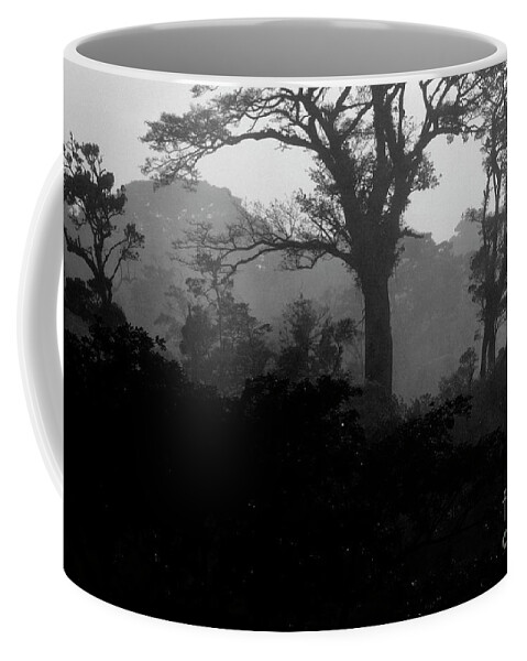 Black And White Coffee Mug featuring the photograph Costa_rica_16-2 by Craig Lovell