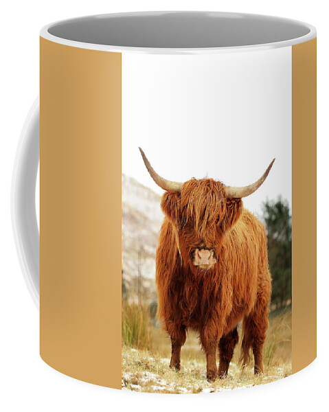 Highland Cattle Coffee Mug featuring the photograph Scottish Highland Cow Loch Lomond by Grant Glendinning