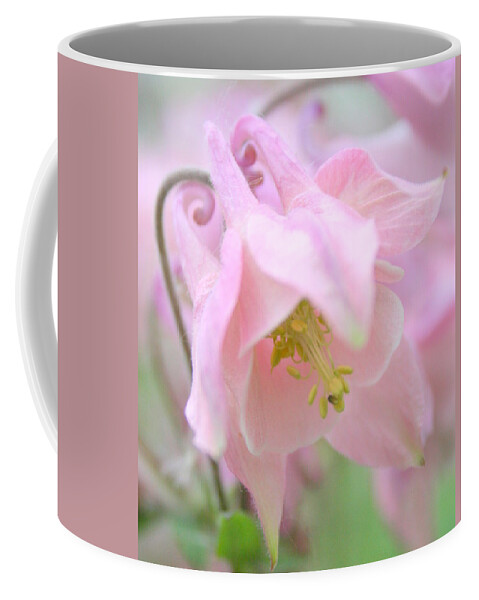 Flower Coffee Mug featuring the photograph Cotton Candy by Julie Lueders 