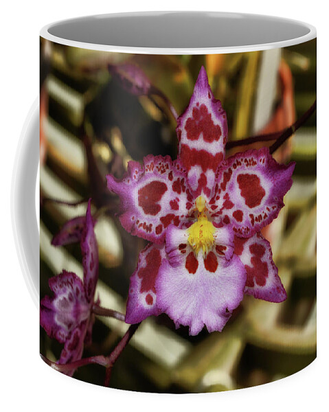 Orchid Coffee Mug featuring the photograph Cotton Candy Orchid 004 by George Bostian