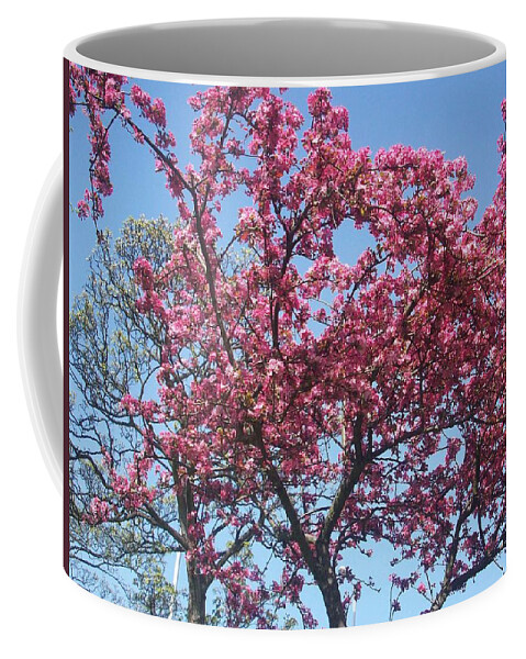 Cotton Candy Coffee Mug featuring the photograph Cotton Candy Tree by Judith Desrosiers