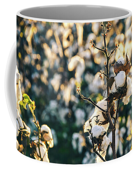 Fluffy Coffee Mug featuring the photograph Cotton Field 21 by Andrea Anderegg