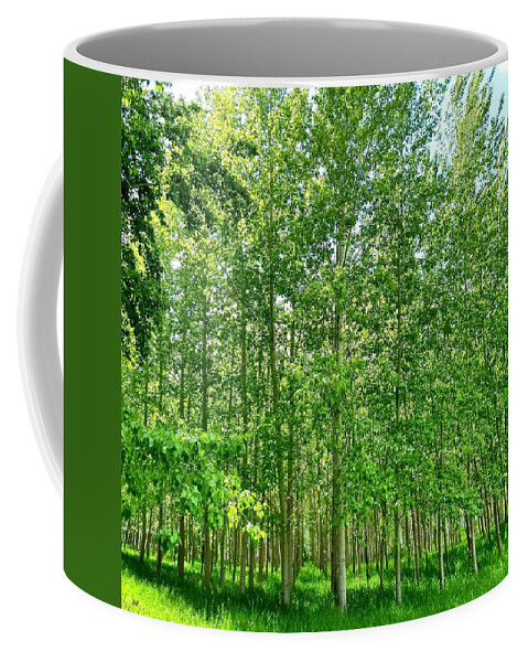 Cottonwood Trees Coffee Mug featuring the photograph Cottonwood Haven by Will Borden