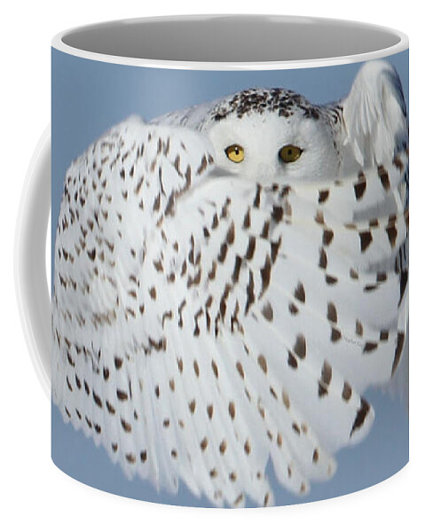 Snowy Owls Coffee Mug featuring the photograph Countess Snowy by Heather King