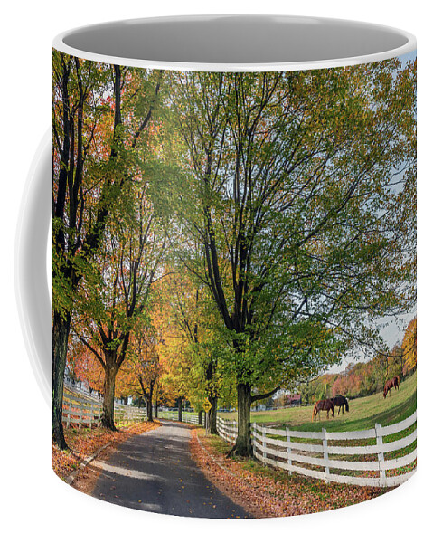 Horses Coffee Mug featuring the photograph Country Road in rural Maryland during Autumn by Patrick Wolf