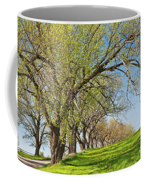 Spring Coffee Mug featuring the photograph Country Spring by Alan L Graham