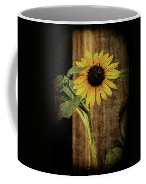 Sunflower Coffee Mug featuring the photograph Country Sunflower by Vicki Stansbury