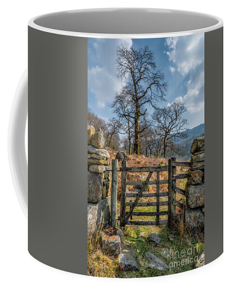Nant Gwynant Coffee Mug featuring the photograph Countryside Gate by Adrian Evans