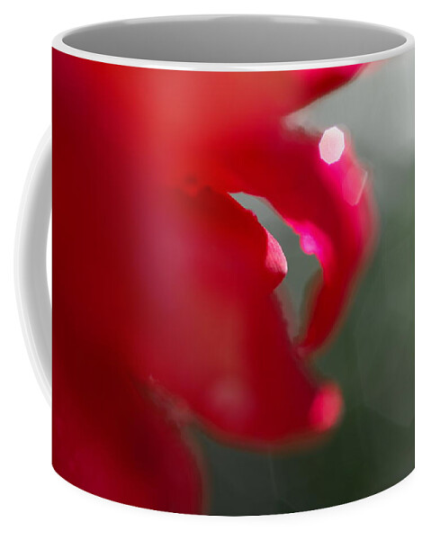 Abstract Art Coffee Mug featuring the photograph Court Jester by Donna Blackhall