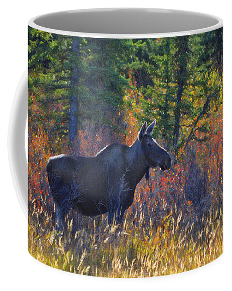 Moose Coffee Mug featuring the photograph Cow Moose in Fall Dreamy by Cathy Mahnke