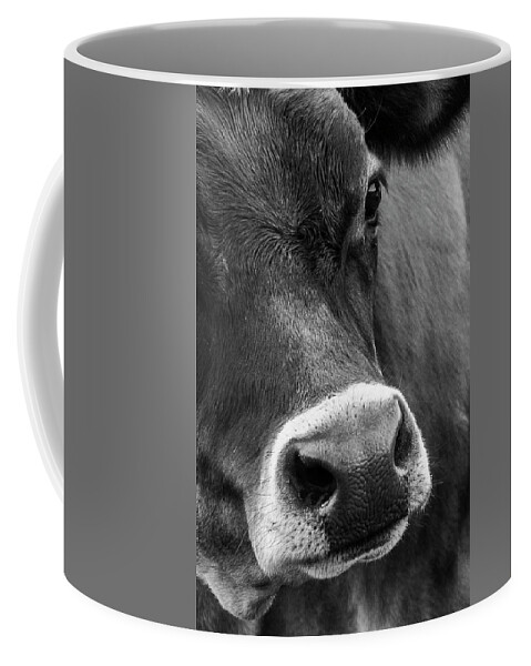 Cow Coffee Mug featuring the photograph Cow Portrait BW by Ginger Stein