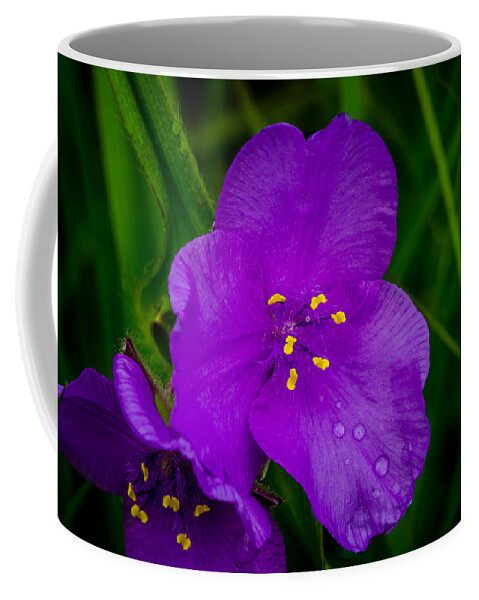 Plant Coffee Mug featuring the photograph Cow Slobber by Jeff Phillippi