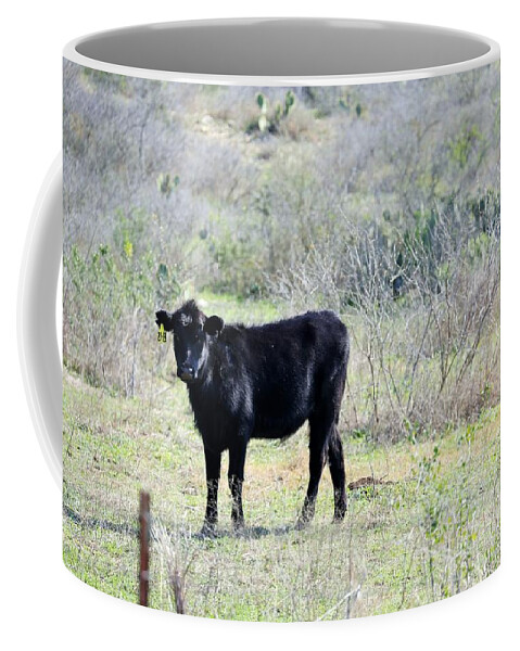  Coffee Mug featuring the photograph Cow004 by Jeff Downs