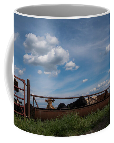 Cow Coffee Mug featuring the photograph Cows on the Farm by Holden The Moment