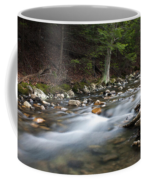 Water Coffee Mug featuring the photograph Coxing Kill in February #1 by Jeff Severson