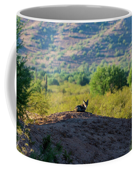 Coyote Coffee Mug featuring the photograph Coyote Hill by Douglas Killourie
