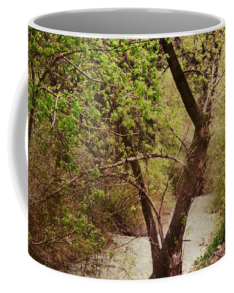 Dreamy Coffee Mug featuring the photograph Cozy Stream in American Fork Canyon Utah by Colleen Cornelius