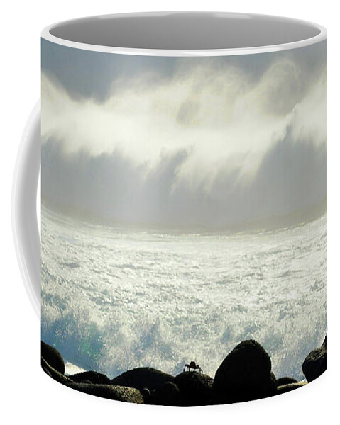 Crab Coffee Mug featuring the photograph Crab Awaiting Impending Wave by Ted Keller
