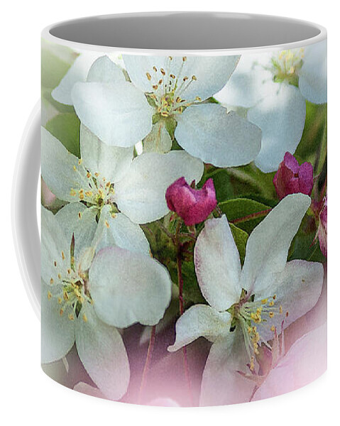 Crabapple Flowers Coffee Mug featuring the photograph Crabapple Blossoms 3 - by Julie Weber